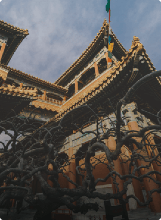 Book flights, hotels, trains, activities and more.